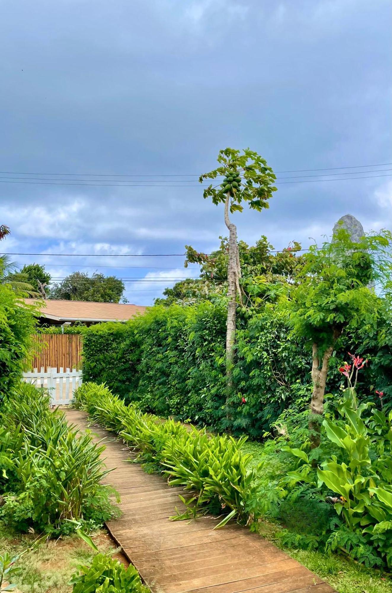 Casa Do Anjo Hotel Fernando de Noronha Buitenkant foto